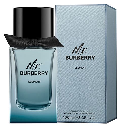 mr burberry model name|mr Burberry element.